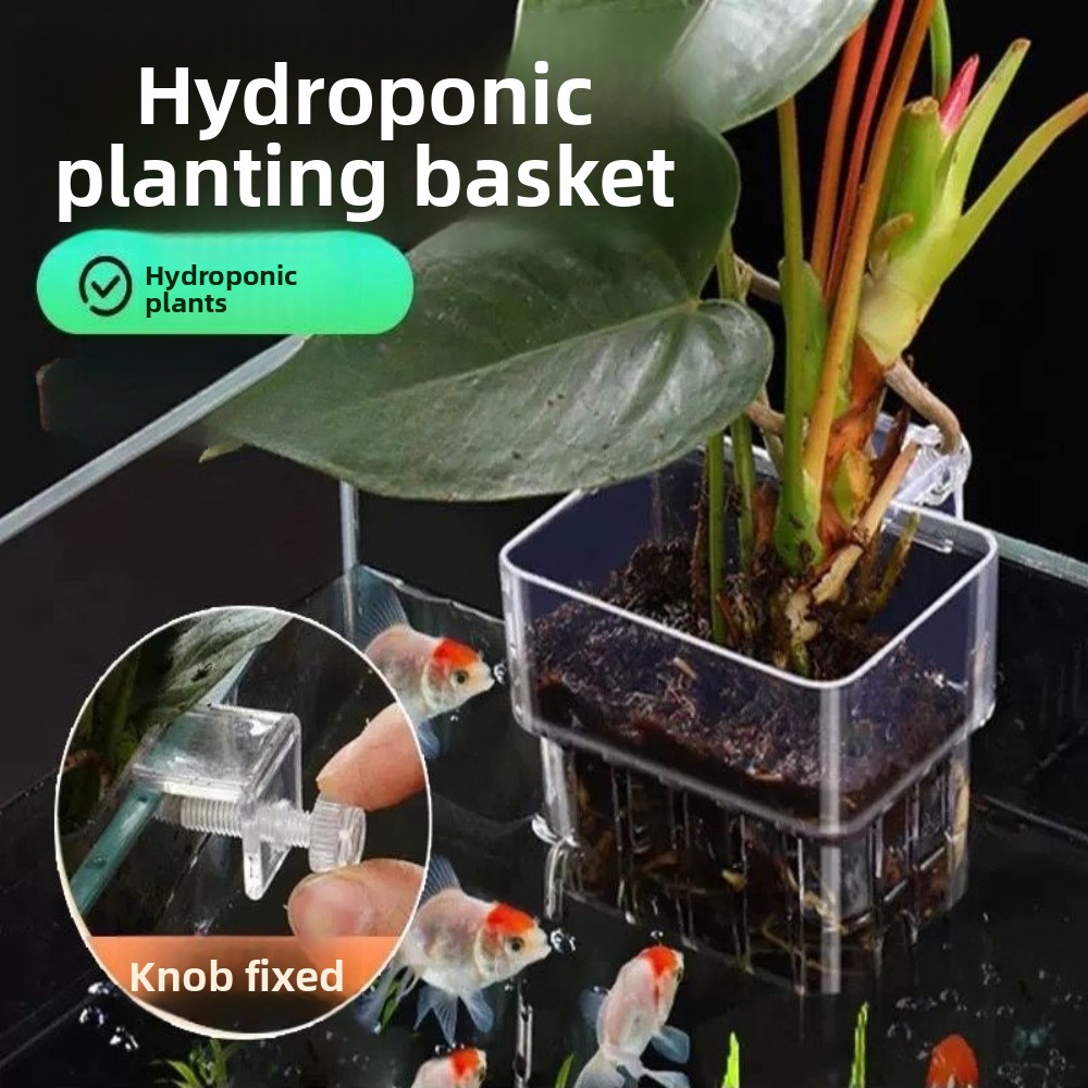 Panier de plantation hydroponi - Aquarium Plant Grass avis et prix