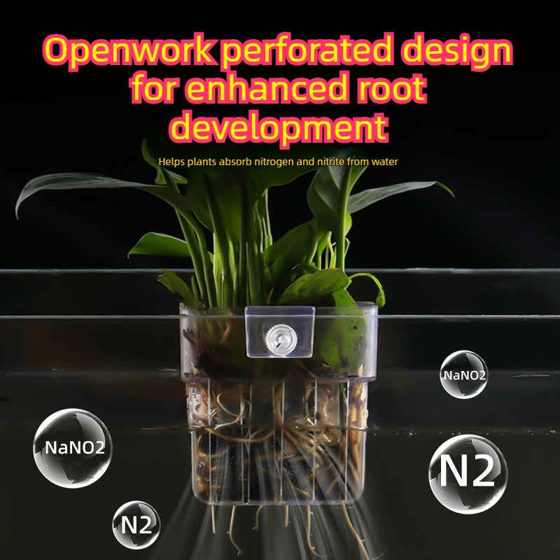 Panier de plantation hydroponi - Aquarium Plant Grass avis et prix