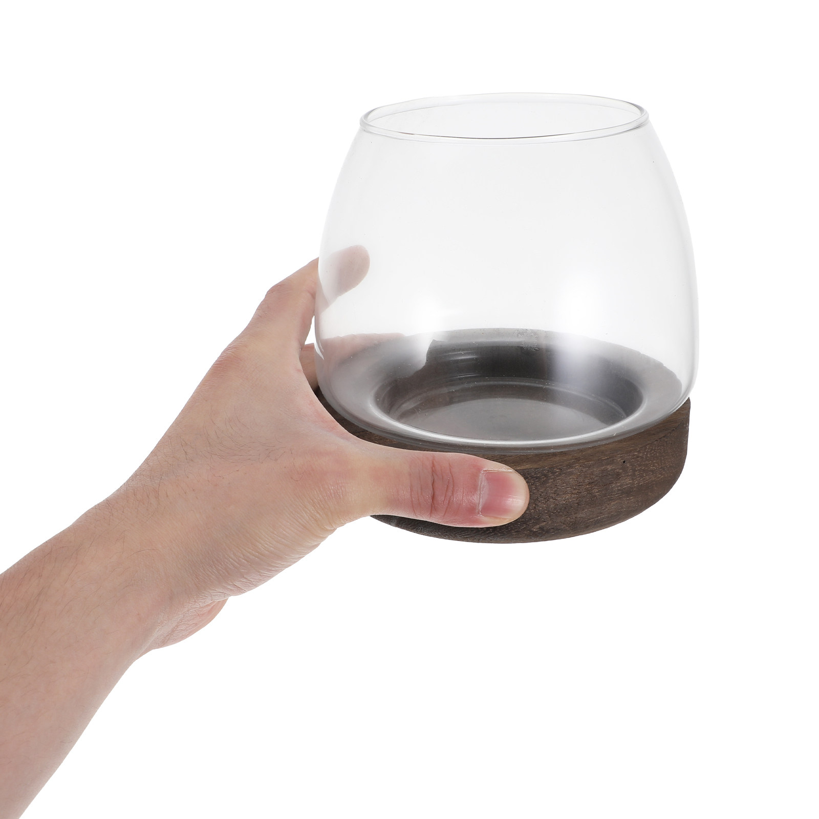 Terrarium hydroponique en verr - Planted Aquarium Bowl avis et prix