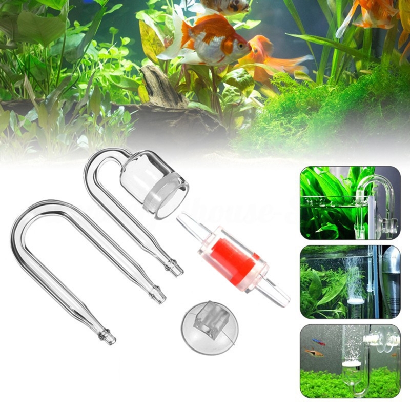 Diffuseur de CO2 pour aquarium - Planted Aquarium Aquascape avis et prix