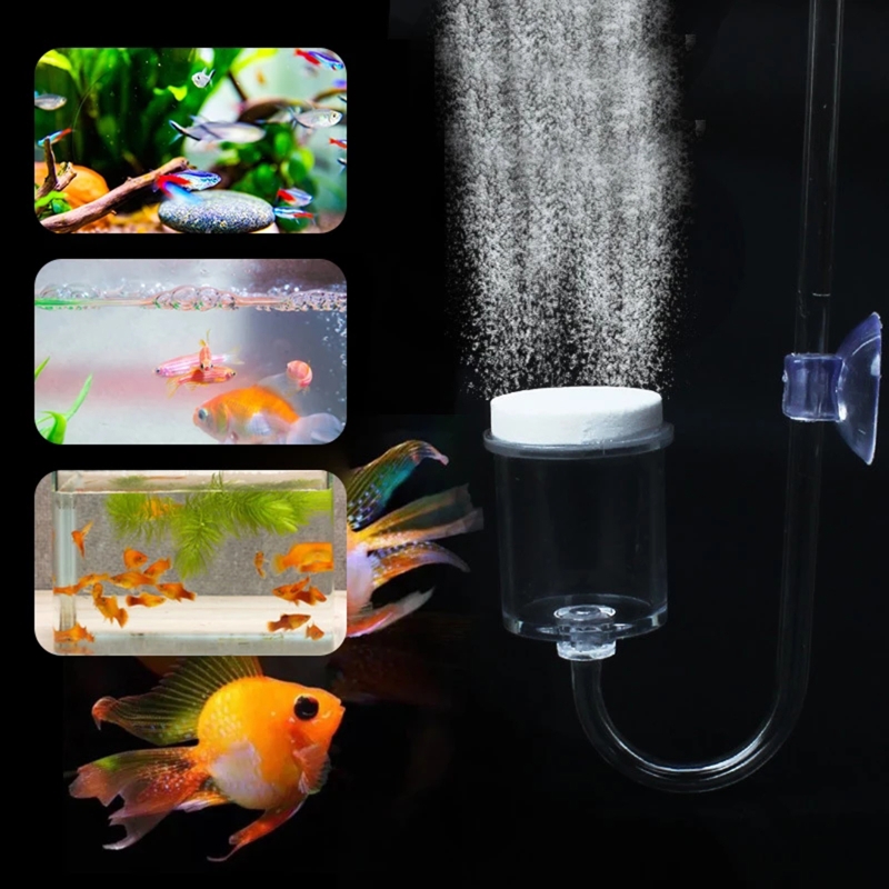Diffuseur de CO2 pour aquarium - Planted Aquarium Aquascape avis et prix