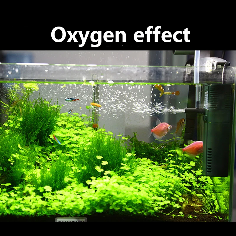 StalSUN mini nano 111B 311B 61 - Aquarium Planted Filter avis et prix